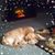 Glenda Morris's profile image