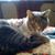 Carole Magoteaux's profile image