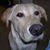 Jim Hartz's profile image