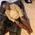 Donna Thompson's profile image