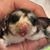 Kya Strempski's profile image