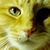 Betsy Murphy's profile image