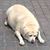 John Calles's profile image