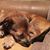 Sandra Mitchell Akin's profile image