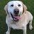Debbie Long Whitacre's profile image