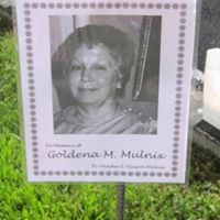 Gary Mulnix's profile image