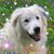 Tonya Stancer's profile image