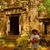 Neel Lakhani's profile image