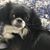 Heather Wagner Blackburn's profile image