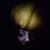 Ellie Farrier's profile image