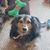 Linda Richard's profile image