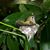 Cheryl Bunnell's profile image
