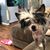 Lindsy Otis's profile image