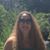 Elizabeth Cohen's profile image