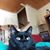 Cindi Borella Hill's profile image