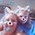 Shawna Dougherty's profile image