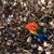 Jeremy Cotterell's profile image