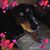 Lori Ehrhardt's profile image