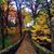 Kristi Opheim Sampey's profile image