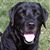 Maggie Mark Maier's profile image