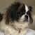 Shirley Rossignol Clauson's profile image