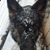Melissa Pennington's profile image