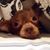 Lynda Flewallen Screen's profile image
