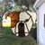 Jeffery T. Wappelhorst's profile image