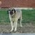Tom Pfleiderer's profile image