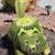 Sharon Matthews Scott's profile image