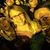 Jennifer Evans's profile image