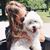 Mallorie Sheldahl's profile image