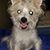 Ann Dohms's profile image