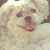 Davetta Huffman's profile image