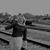 Emma Joy Giddings's profile image