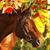 Turf Town Prop's profile image