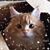 Sue Baker's profile image