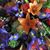 Connie Glancy's profile image