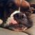 Cindy Gregg's profile image