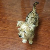 Paul Hosfield's profile image