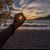 Judy Muttillo's profile image