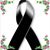 Maria Zuniga's profile image