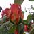 Elila Mendoza's profile image