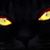 Paciuga Chicca Ponte's profile image