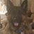 Wayne Watercutter's profile image