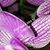 Irma Edith Gonzalez's profile image