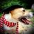 Val Rogalla's profile image