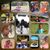 Rachel Parks Robinson's profile image