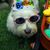 Gloria Demeter's profile image