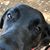 Melinda Thomas's profile image